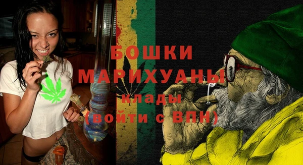 PSILOCYBIN Богданович