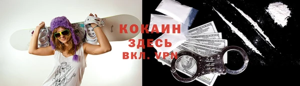 spice Богородицк