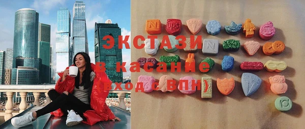 spice Богородицк