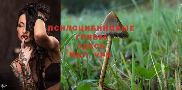 гашиш Белокуриха
