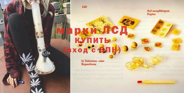 spice Богородицк