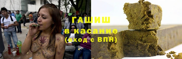 spice Богородицк